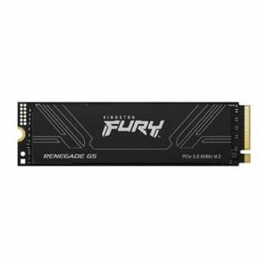Kingston Fury Renegade G5