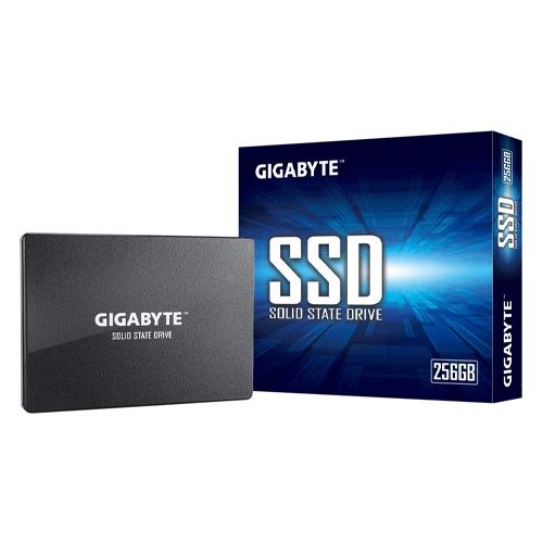 GP GSTFS31256GTND 1