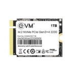 EVM 1TB 2230 NVMe SSD EVMNV30/1TB