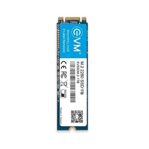 EVM 1TB M.2 SATA SSD EVMM2/1TB EVM 1TB M.2 SATA SSD EVMM2/1TB